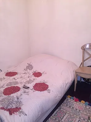 Rented by Limestone Realty Bklyn, LLC | media 14