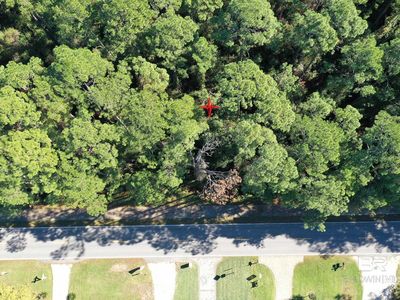 0 Scenic Highway 98 #213, Fairhope, AL, 36532