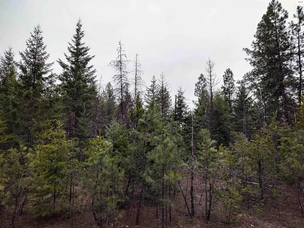 L1b104, Spirit Lake, ID 83869