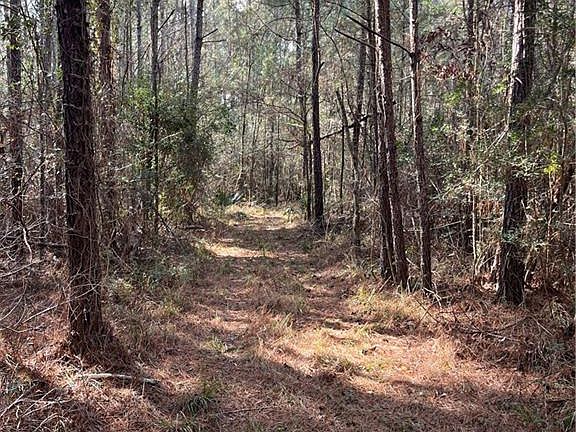 3rd image of 441 Highway Hwy