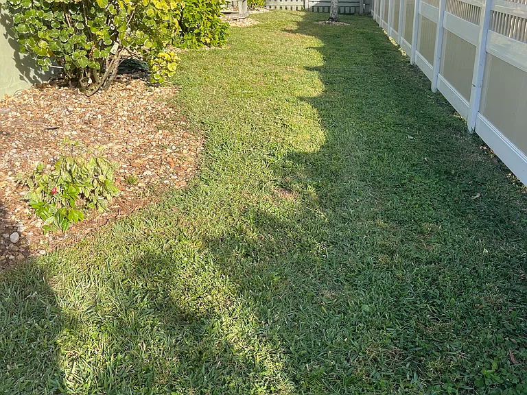 Fenced side yard
