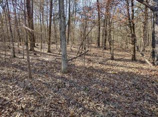 8 Saint James Rd, Mountain View, AR 72560