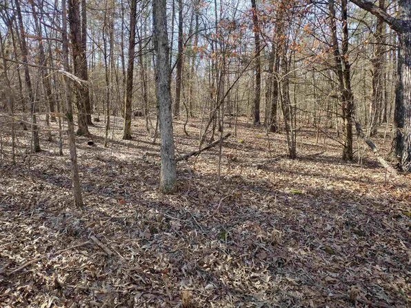 8 Saint James Rd, Mountain View, AR 72560