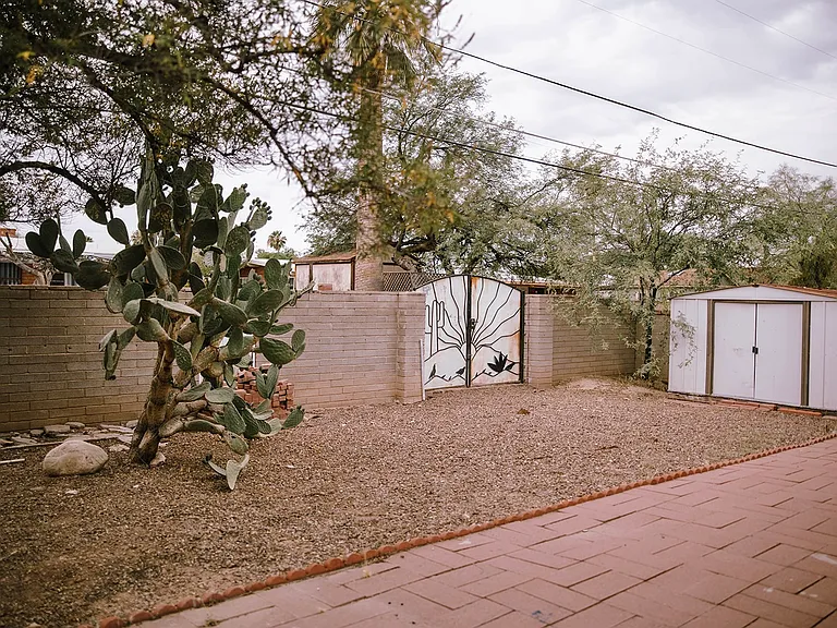 Backyard