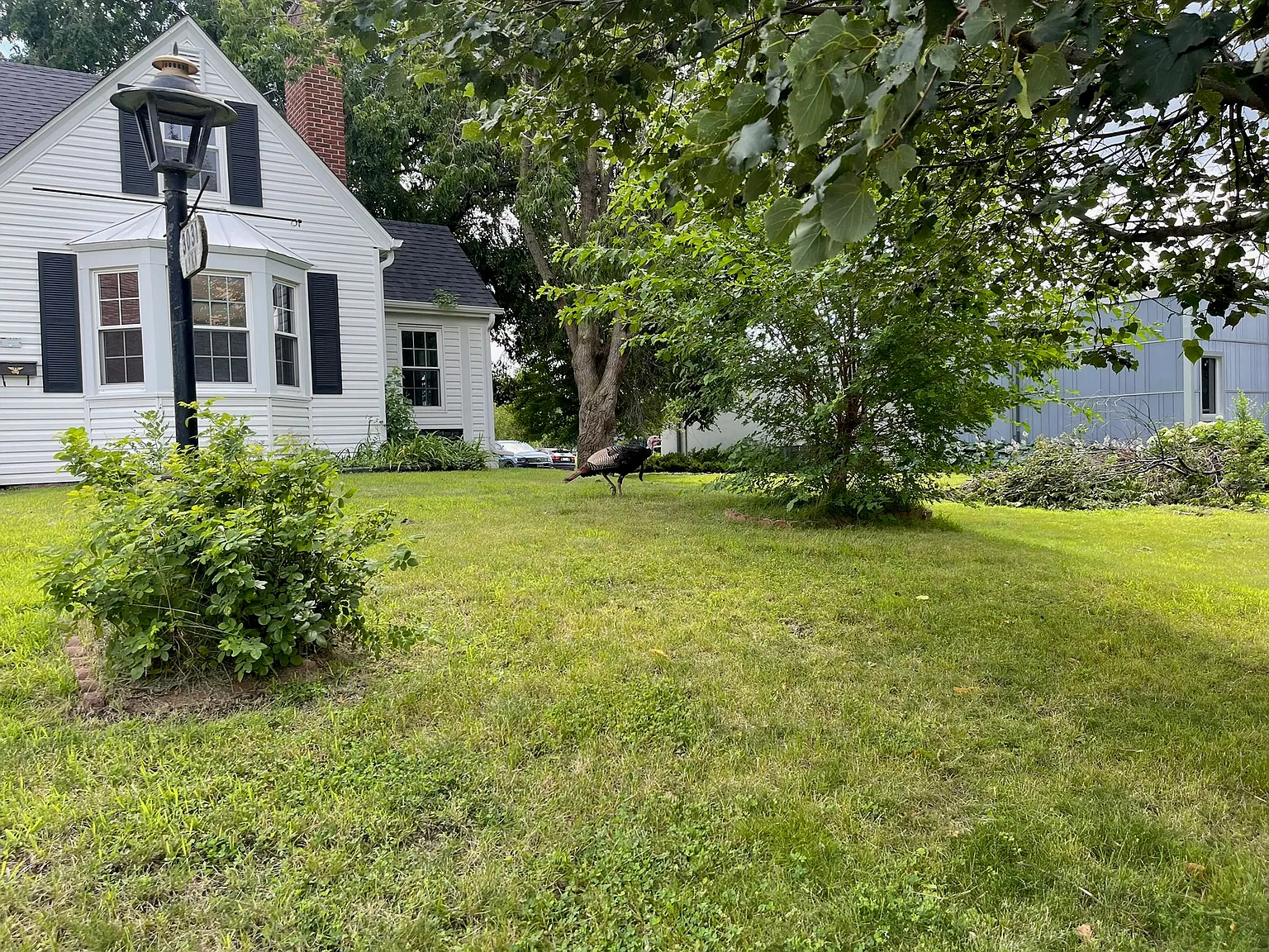 3031 Lynn Ave S — Photo 3