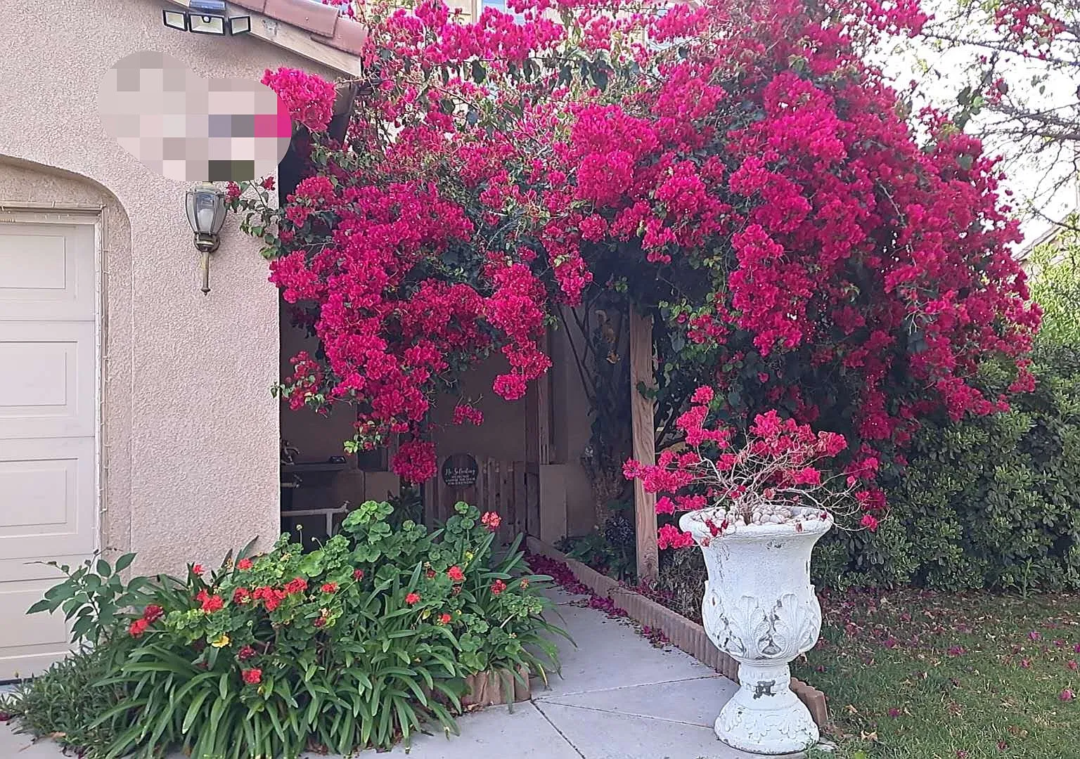 Cougar Pl, Murrieta — Photo 1