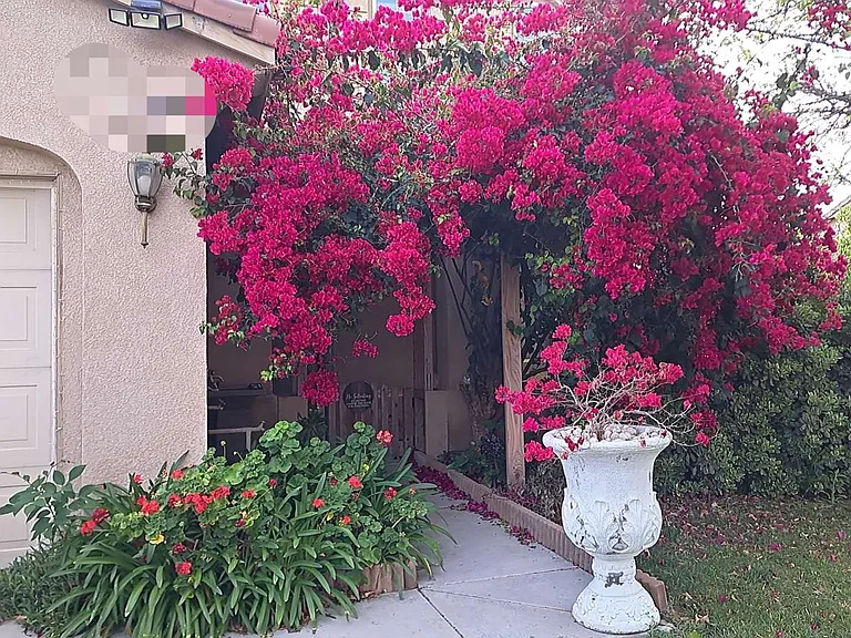 Cougar Pl — Photo 1