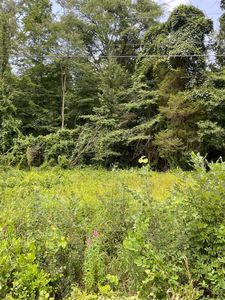 146th Ave #B-2, Holland, MI, 49423