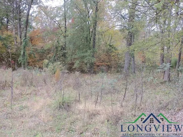 Florey Lake Rd, Kilgore, TX 75662