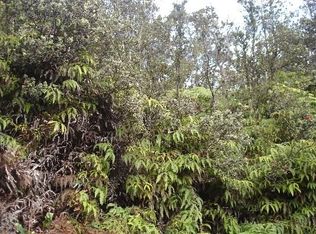 12th St, Volcano, HI 96785