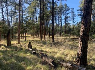 LOT 2 Seven, Timberon, NM 88350