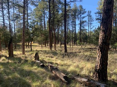 LOT 2 Seven, Timberon NM - Owner Finance Home