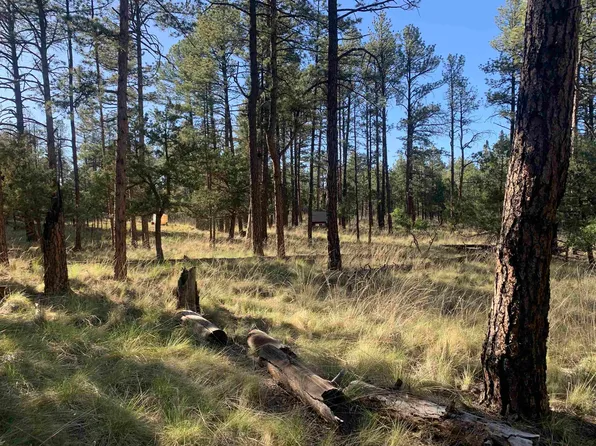 LOT 2 Seven, Timberon, NM 88350