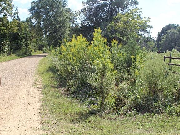5th image of 145 County Road 4201