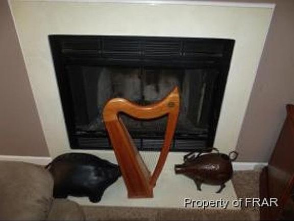 Wood burning fireplace