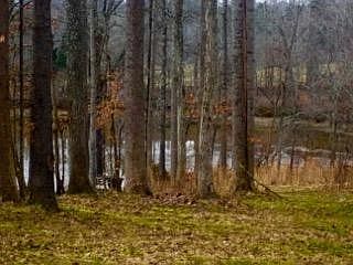 2nd image of 104 Azalea Cir Lot 104