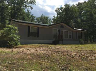 11741 S Boxelder Ave, Baldwin, MI 49304