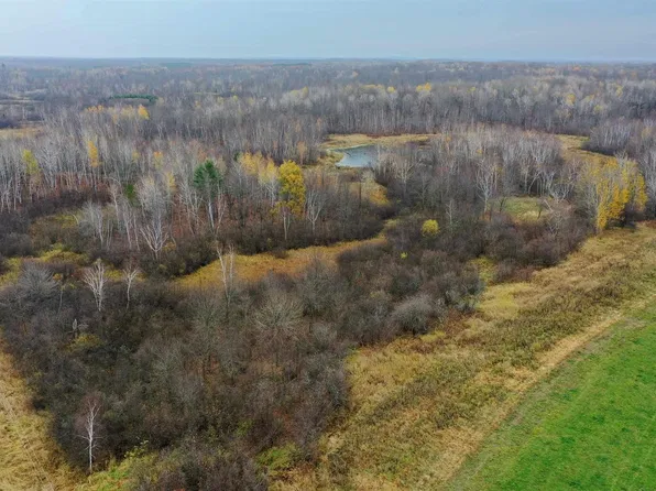 +/-39.22 Acres 8TH AVENUE, Lublin, WI 54447