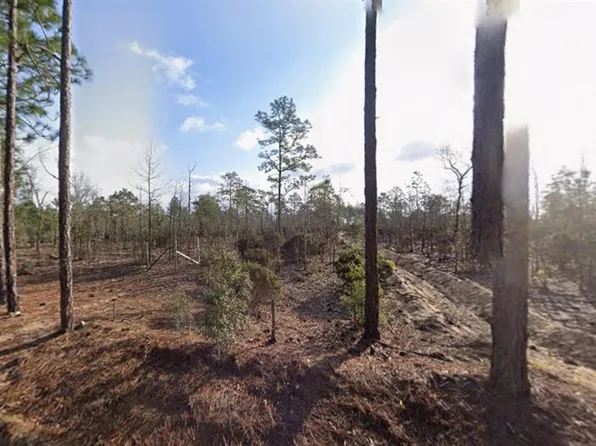 116 Tulip Ave Lot 22, Interlachen, FL 32148