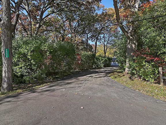 Tree-lined driveway