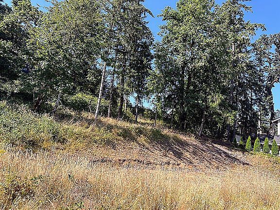 4th image of 6225 Forest Ridge Dr
