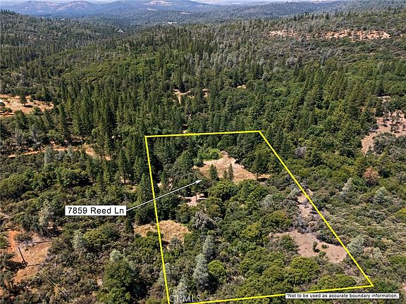 3rd image of 7859 Reed Ln