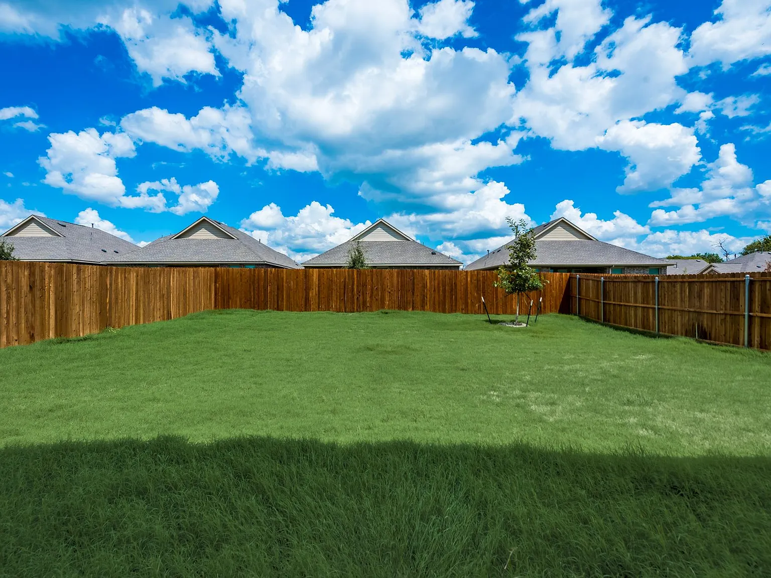 3 bed, 1602 sqft, $2,045 — Photo 4