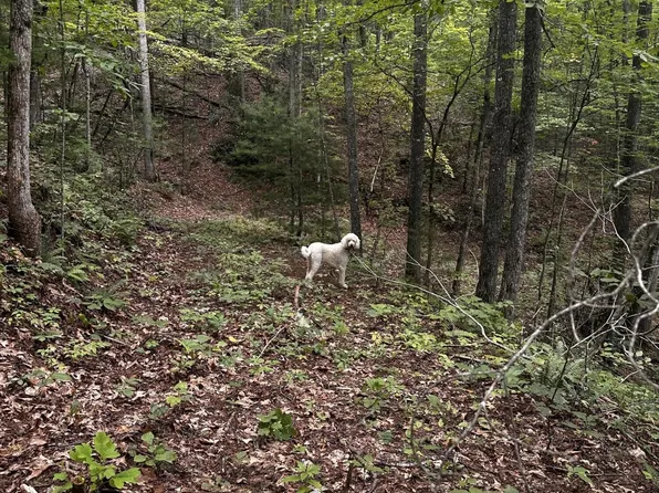 1158 Yellow Breeches Rd Lot 0, Cosby, TN 37722