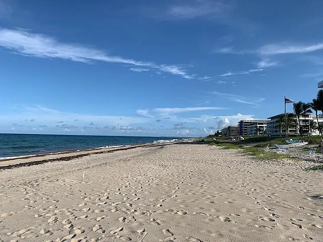 1 bed, 1.0 bath, 640 sqft, $2,000 — Photo 2