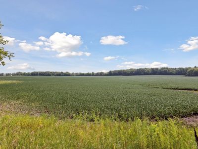 24X5 Holy Name Dr, Wayzata, MN, 55391