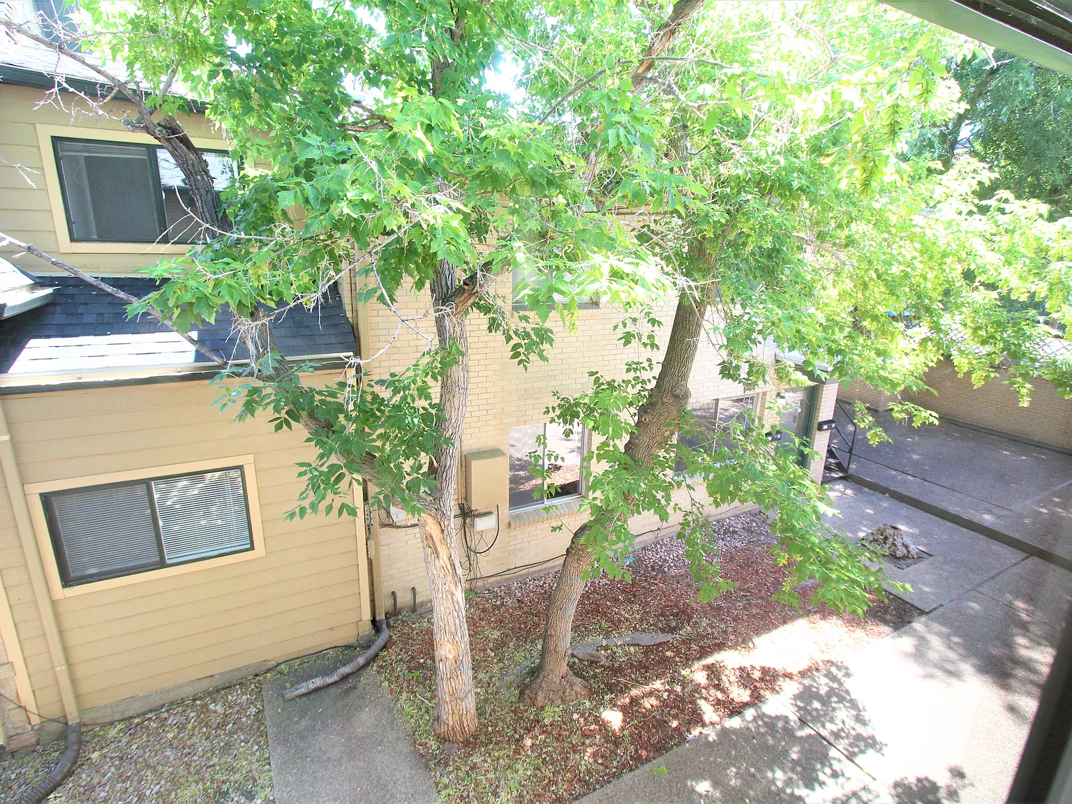 2 bed, 900 sqft, $3,400 — Photo 3