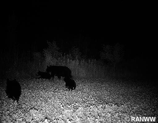 2nd image of 0 E Townline Road