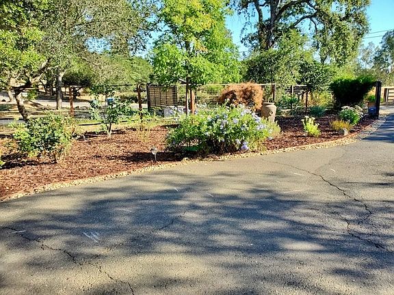 Left side front yard looking out toward street.