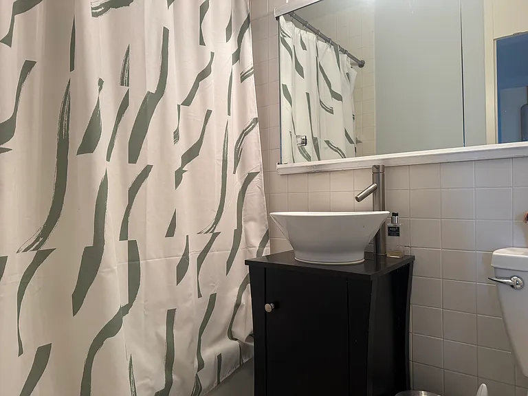 65 E India Row #A31 — Photo 6