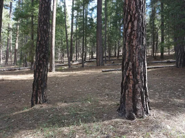 5580 Chandler Rd, Quincy, CA 95971