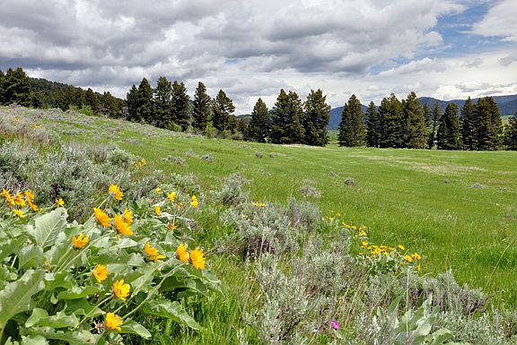 2nd image of Lot 2b Bridger Hills Drive