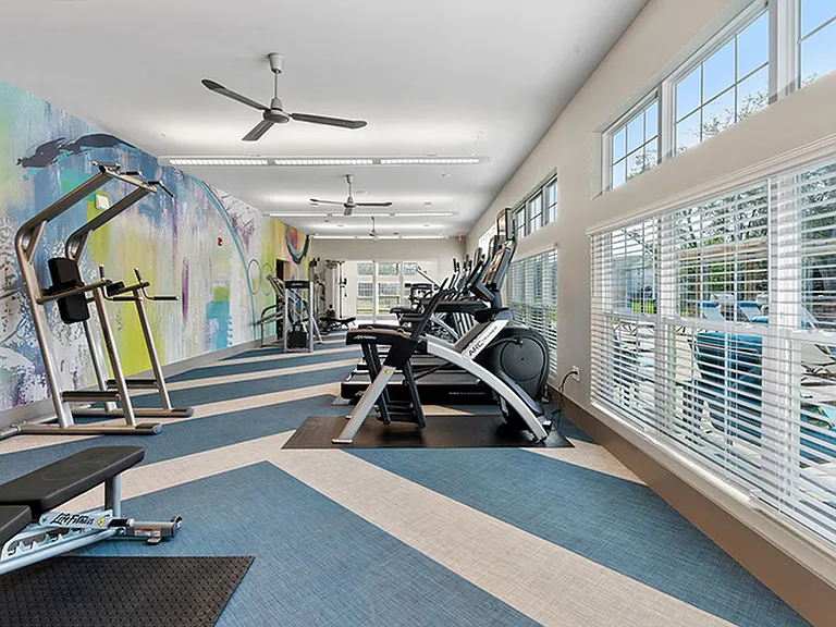 Treadmills and bikes