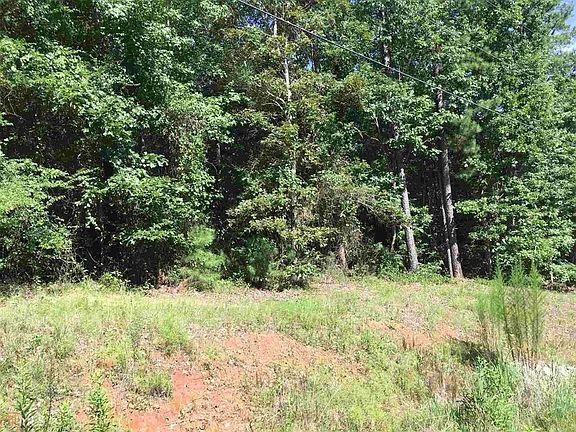 3rd image of LOT 22 Winding River Rd