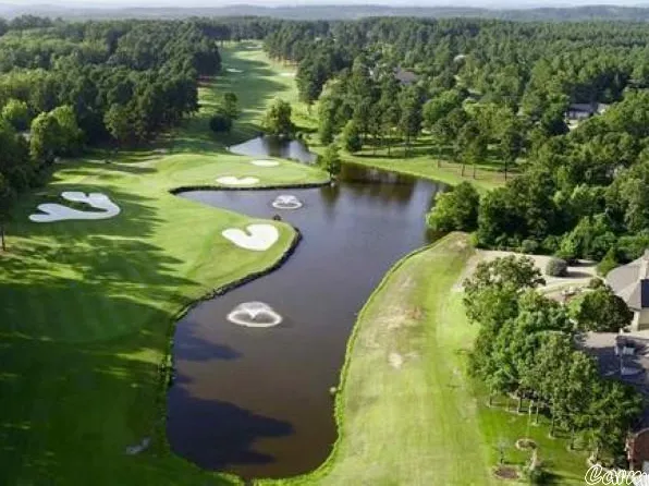 25 Princesa Dr, Hot Springs Village, AR 71909