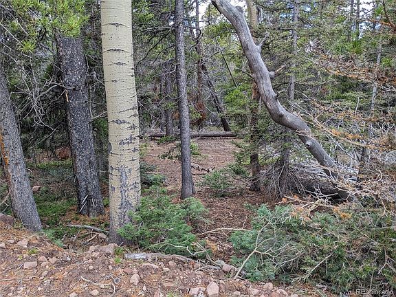 2nd image of 3235 Grojean Drive