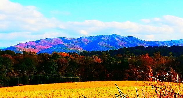 1st image of 235 Fairridge Rd