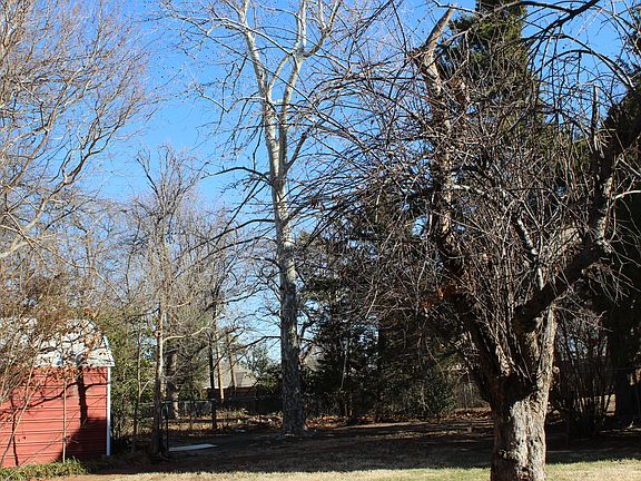 Your large private backyard