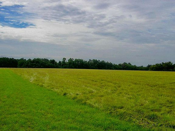 4th image of Tbd County Road 245