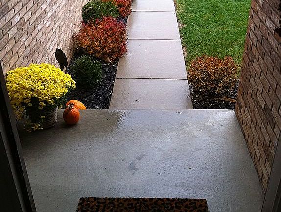 3rd image of 32068 Holly Dr
