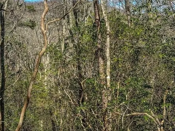 0 T S Jarrard Rd, Dahlonega, GA 30533