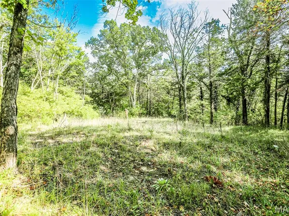 6302 Upper Byrnes Mill Rd, House Springs, MO 63051