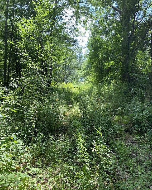 2nd image of 197 Poplar Rd