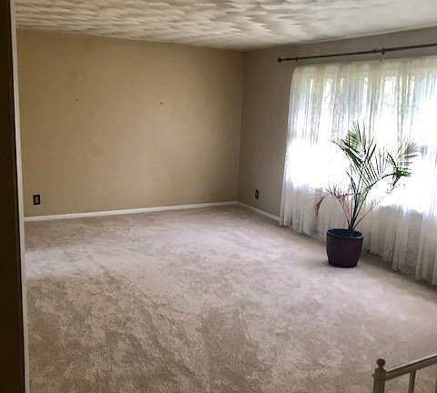 3rd image of 4926 Plum Hollow Dr