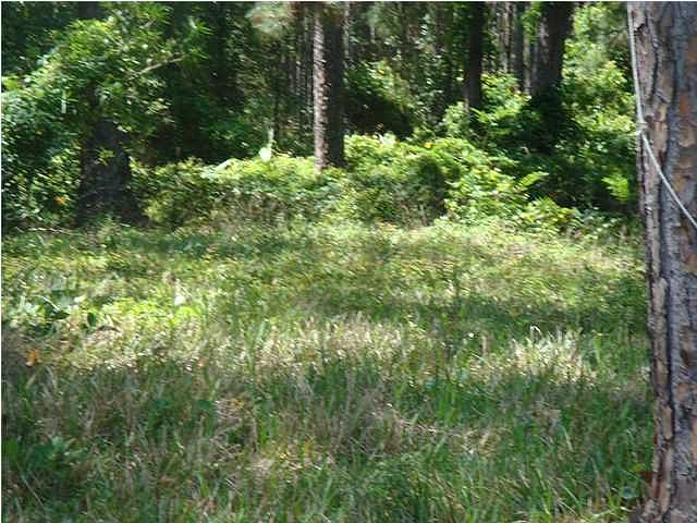 2nd image of 3153 Highway 98 E