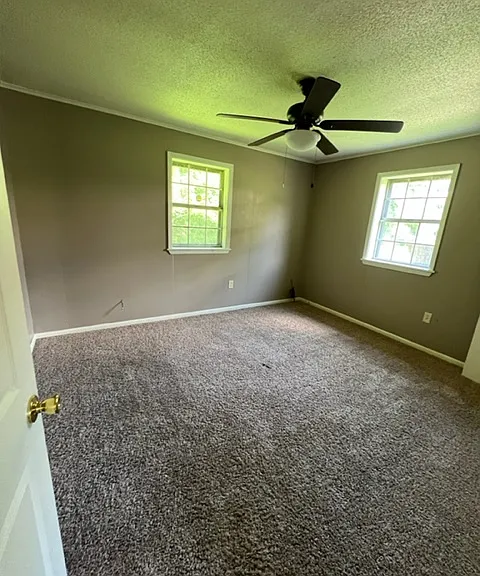 107 Lake Terrace Rd — Photo 7